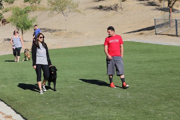 The outdoor training facilities at Cesar Millan's Dog Psychology Center