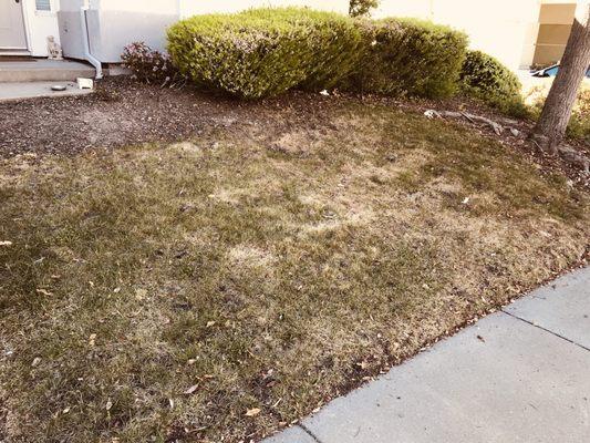 This is the state of my front lawn that I just took today , April 22, ( Earth Day) 2019. The water system has not been adjusted yet. Willis?