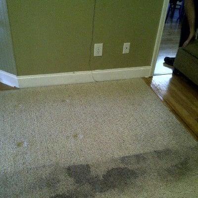 Before & After Results -by- Heaven's Best Carpet and Upholstery Cleaning - Virginia