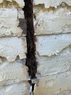 Rotten studs seen on the inside of the house with insulation