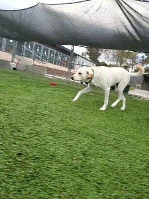 Playing outside