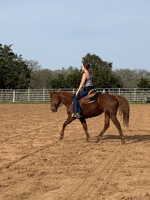 Brooks Land Stables