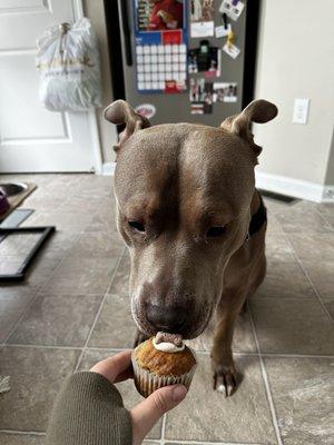 Pupcake