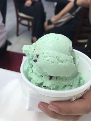 Mint chocolate chip