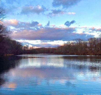 Hoppers / Birge Pond Nature Preserve