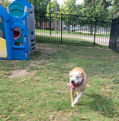 Sweet Pea loves her play time