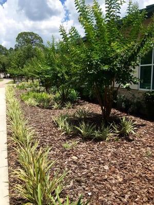 Landscaping on the grounds