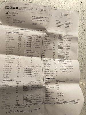 Blood work. Next steps from the lab were complete urinalysis NOT fructosamine test, Kamal wrote that.