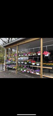 hanging baskets