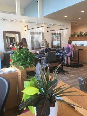 Pacific Breeze Salon