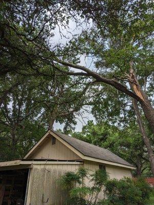 Mike's Tree Service