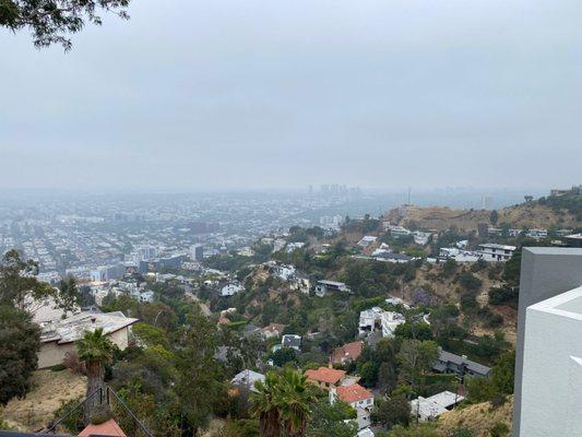 Hollywood Hills Homes