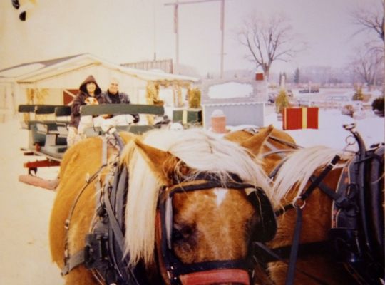 Rita Rinelli and Lou Rugani on a wintertime sleigh ride around the Apple Holler grounds.