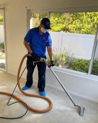 Carpet cleaning with hot water extraction