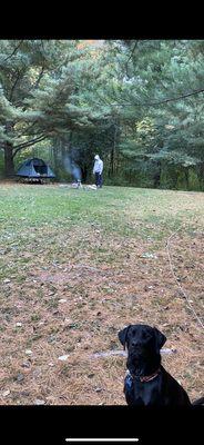 Fire pit and nice, flat area to set up tent