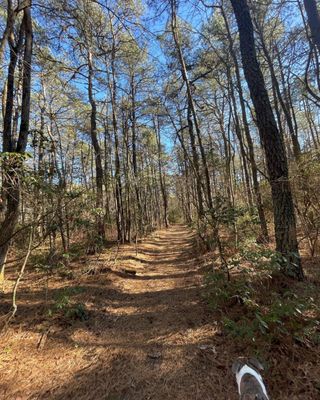 Black Run Preserve