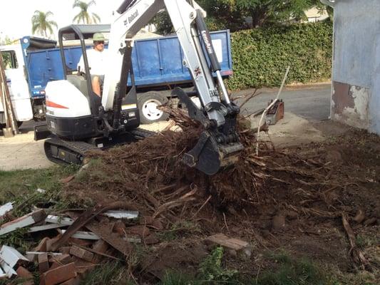 Tree stump removal.