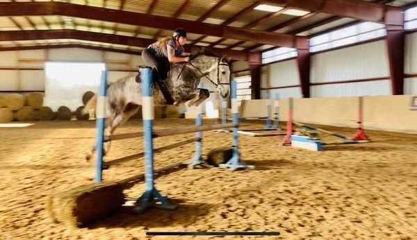 Feelgood farm horse in training