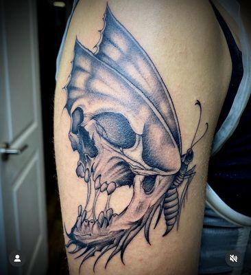 Skull Butterfly