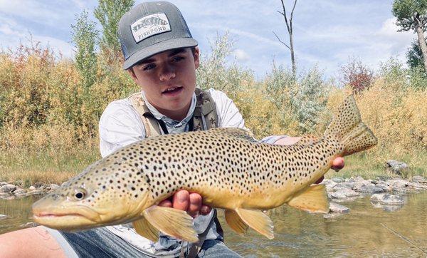 Huge brown on the eagle early fall