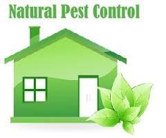 Natural Pest Control