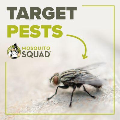 Mosquito Squad of St. Petersburg offers flies control services to keep your home and outdoor spaces free from these annoying ...