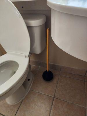 Plunger