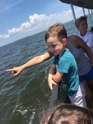 Kids love seeing wild dolphins on the Harbor Star