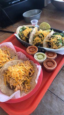 Best tacos in the universe