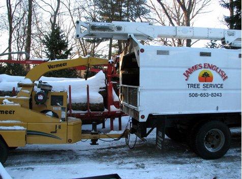 James English Tree job during winter.