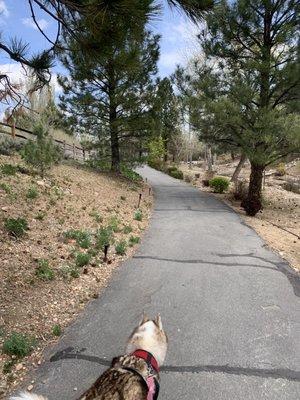 Beautiful day trails are gorgeous beautiful