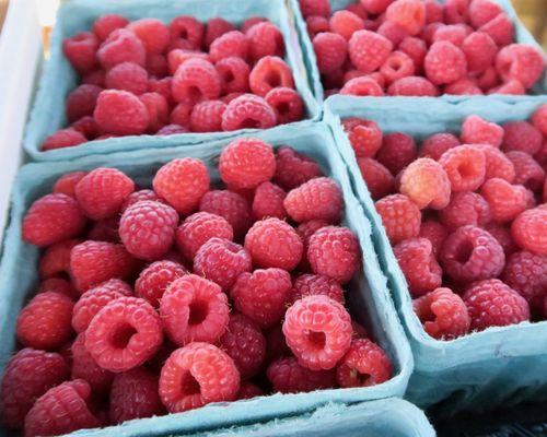 Sweet and tasy raspberries