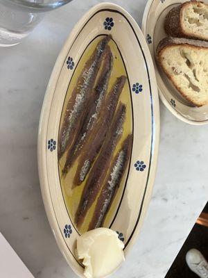 Anchovies