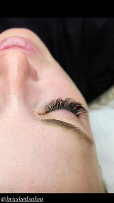 Lash Extensions