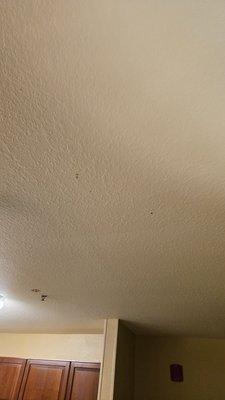 Mysterious brown spot marks on the ceiling..... nasty