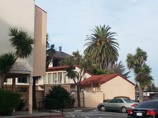 Kona Apartments