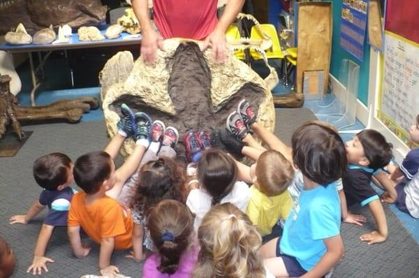 Learning about dinosaurs....at Tiny Tiki's we believe in getting the students involved in every lesson.