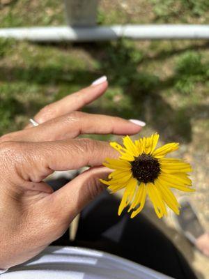 4/21/24. Inspiration Loop with my sweet H. He held my hand and picked me a wildflower.