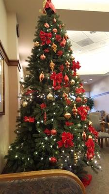 Xmas tree in the waiting room 12/21/15