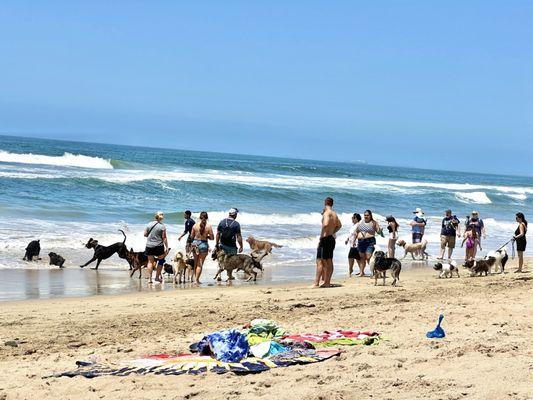 Huntington Dog Beach