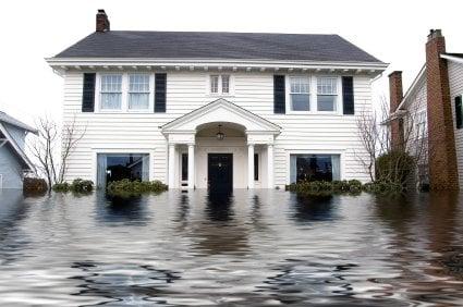 Bay Areas Water Damage Experts!