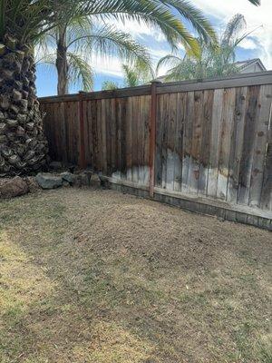 Olive tree removed and stump grind completed