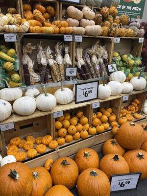 Pumpkin Patch at Sprouts