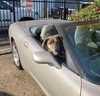 T.J. loves riding shotgun!