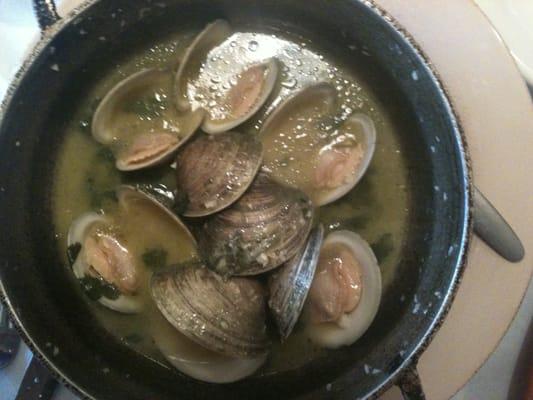 little necks in beer & cilantro sauce in a hot pot