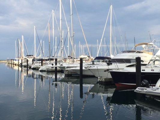 DuSable Harbor, right outside from Chandler.