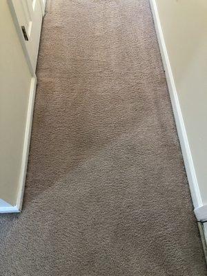 Hallway Carpet After