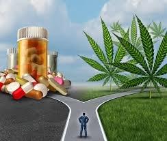 Opioids blocks pain, scripts run out & causes addiction & deaths. Medical cannabis balances your Endocannabinoid system while blocking pain.