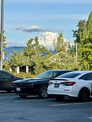 Gorgeous view of Mt Rainier from outside 5/30/24