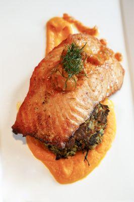 Spur's Creative King Salmon